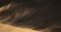Bufera di vento e sabbia: in mille fuggono dal festival Birichina di Gatteo Mare
