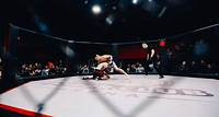 Boxe. Greg MMA - Billy : streamer contre Youtubeur, un combat prévu à La Défense Arena