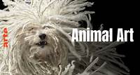 Animal Art - Photogenic Creatures