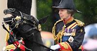 Princess Anne Suffering Memory Loss, Remains Hospitalized After Horse 'Incident': Report