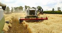 Harvesting campaign launched across 16 regions of Ukraine