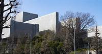 La Corte Suprema giapponese ha stabilito che la legge sulle sterilizzazioni forzate era incostituzionale