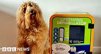 Dog helping to save lives as a defib mascot