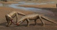 Fóssil de parente pequeno dos crocodilos é descoberto no sul do Brasil