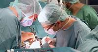 "Desaster": Münchner Top-Mediziner mit deutlichen Worten zum Organspende-Register