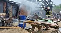 L’incendiaire du Village Gaulois vivait dans une souche d’arbre : la vengeance terrible d’un « sac à ennuis
