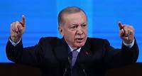 Erdogan in Berlin: Im Schatten des Wolfsgrußes