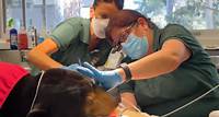 'Beloved' Rescued Sun Bears Get Health Check at Perth Zoo
