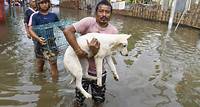 Assam flood situation still critical, Bihar rivers close to danger mark after torrential rain