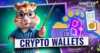 Crypto Wallets Explained: Custodial and Non Custodial Wallets ⚡️ Hamster Academy