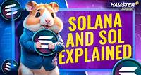 How Solana Works: A Beginner’s Guide 🚀⚡️ Hamster Academy