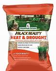 Black Beauty® Heat and Drought Resistant Grass Seed | Jonathan Green