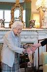 Am 6. September 2022 empfing Queen Elizabeth II. Liz Truss auf Schloss Balmoral, um sie zur Premierministerin zu ernennen. Nur