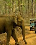 Kabini Backwaters Forest Safari - Karnataka Tourism