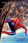 The Amazing Spider-Man 2 - On DVD | Movie Synopsis and Plot