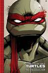 TMNT: The IDW Collection Vol. 1
