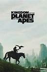 Kingdom of the Planet of the Apes (2024) - AZ Movies