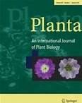Comparative proteomics illustrates the complexity of Fe, Mn and Zn deficiency-responsive mechanisms of potato (Solanum tuberosum L.) plants in vitro - Planta
