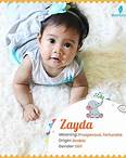 Zayda Name Meaning, Origin, History, And Popularity