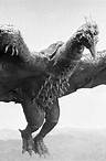 Rodan the Flying Kaiju | Godzilla Monsterpedia