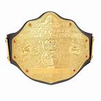 WWE World Heavyweight Championship Retro Replica Title Belt