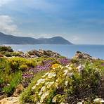 5 buoni motivi per visitare la Corsica in primavera