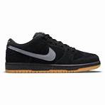 Tênis Nike Dunk Sb Low Pro