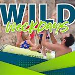 Summer WILD WEEKDAYS - Wilderness Resort