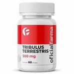 Tribulus Terrestris 500Mg 60 Doses (40% saponinas)