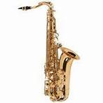 Saxofone Tenor Vogga Vsts701N Laqueado Em Bb (Si Bemol)