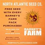 Barney's Farm Cannabis Seeds » NORTH ATLANTIC SEED CO.