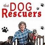 Alan Davies in The Dog Rescuers (2013)