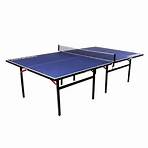 Pro Indoor Table Tennis Table - Compact & Foldable