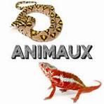 Animaux reptiles et amphibiens
