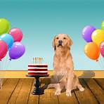 Woofy greetings - Birthday - send free eCards from 123cards.com