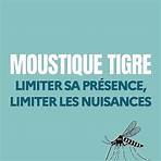 Propreté, Santé Lutte contre la prolifération du moustique tigre dans les Hauts-de-Seine