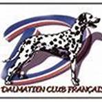 DALMATIEN CLUB FRAN�AIS