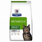 Chat Metabolic au Poulet