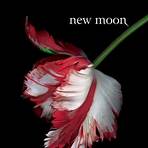 The Story Behind the Writing of New Moon