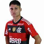 Luiz Araújo - Flamengo