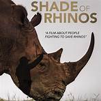 IN THE SHADE OF RHINOS