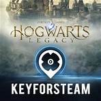 Hogwarts Legacy Key kaufen Preisvergleich