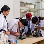 Best School of Sciences : Noida International University