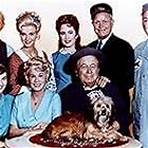 Bea Benaderet, Edgar Buchanan, Smiley Burnette, Frank Cady, Rufe Davis, Linda Henning, Gunilla Hutton, Lori Saunders, and Higgins in Petticoat Junction (1963)