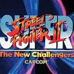 Super Street Fighter 2: The New Challengers