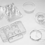 Falcon® In Vitro Fertilization Products | IVF Dishes and Plasticware for Reproductive Applications | Corning