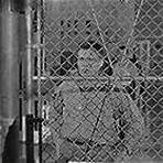 Neville Brand and Leo Gordon in Riot in Cell Block 11 (1954)
