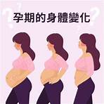 孕期1~40週最詳細的分析，懷孕身體變化大揭密!! - mamaway