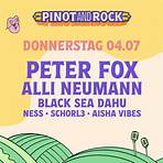 Tagesticket Donnerstag