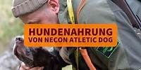 Hundenahrung von Necon Atletic Dog